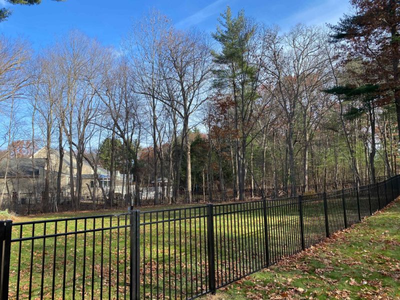 Aluminum Fence and Gate