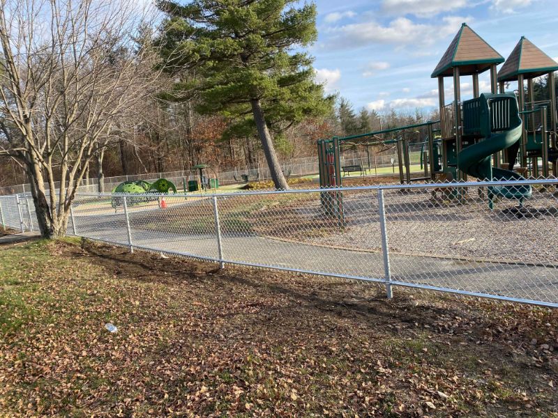 Chain Link Fences for Dogs