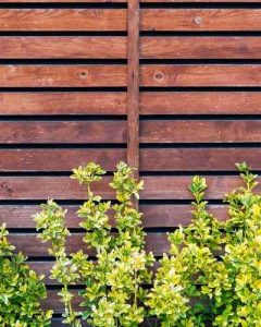 Wooden Fence Installers Near Me