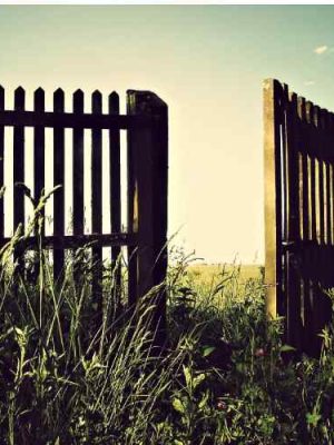 Aluminum Fences Near Me